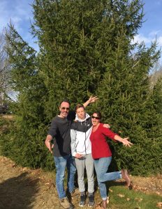 xmas tree farm